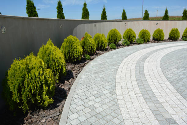 Best Driveway Repair Near Me  in Kincaid, IL